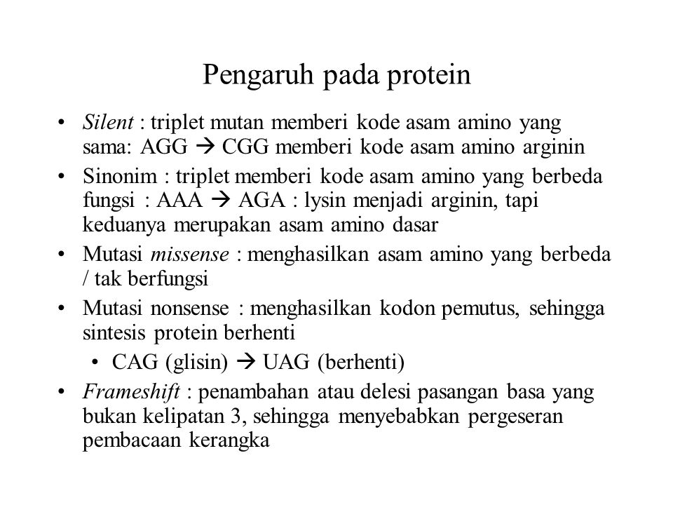 Pengaruh pada protein Silent : triplet mutan memberi kode asam amino yang sama: AGG  CGG memberi kode asam amino arginin.