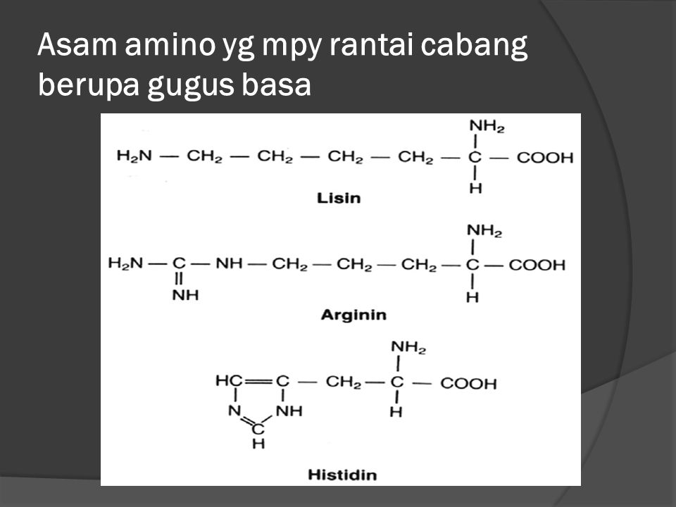 Asam amino yg mpy rantai cabang berupa gugus basa