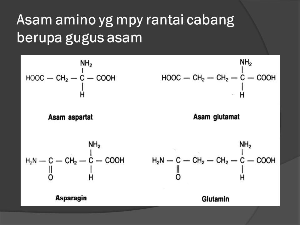 Asam amino yg mpy rantai cabang berupa gugus asam