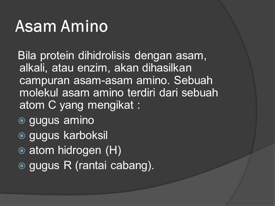 Asam Amino