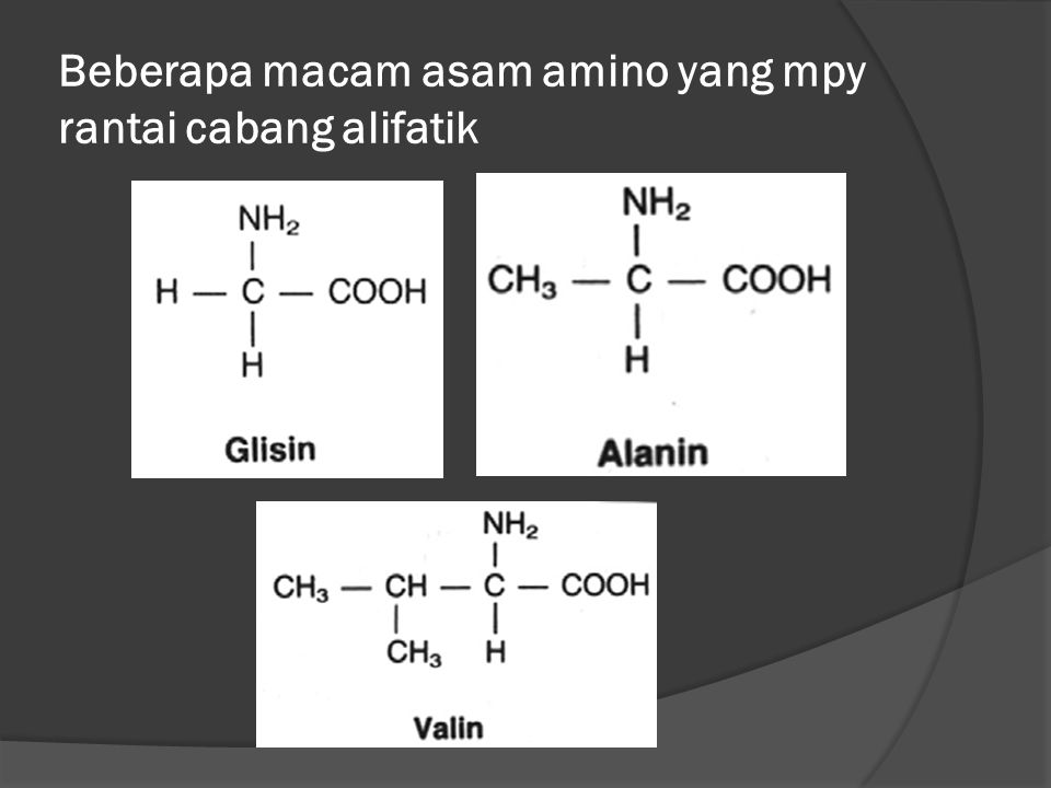 Beberapa macam asam amino yang mpy rantai cabang alifatik