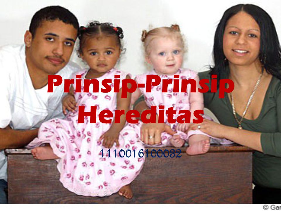 Prinsip-Prinsip Hereditas