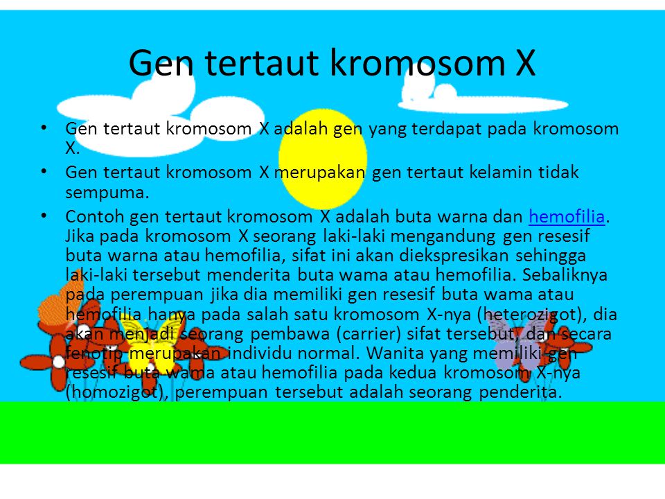 Gen tertaut kromosom X Gen tertaut kromosom X adalah gen yang terdapat pada kromosom X.