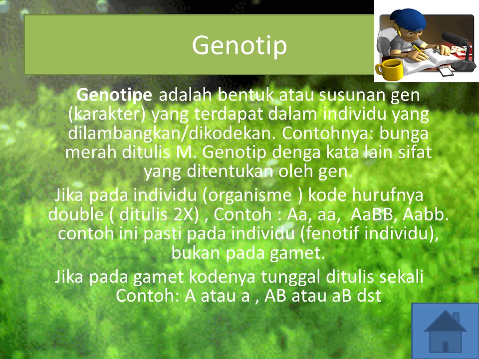 Genotip