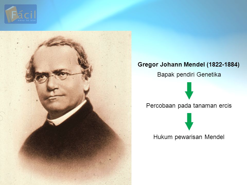 Gregor Johann Mendel ( )