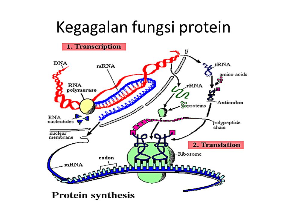 Kegagalan fungsi protein