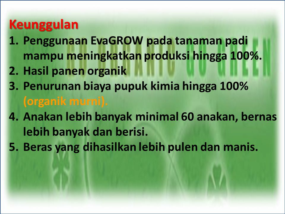 Keunggulan Penggunaan EvaGROW pada tanaman padi mampu meningkatkan produksi hingga 100%. Hasil panen organik.