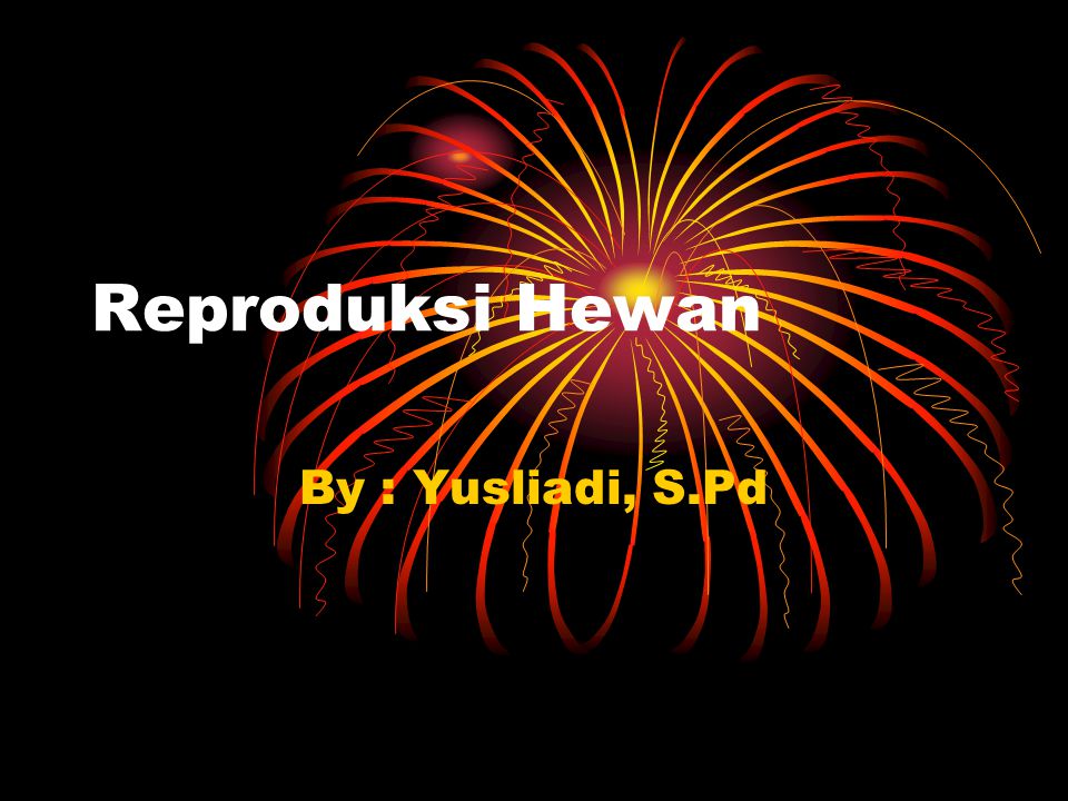 Reproduksi Hewan By : Yusliadi, S.Pd