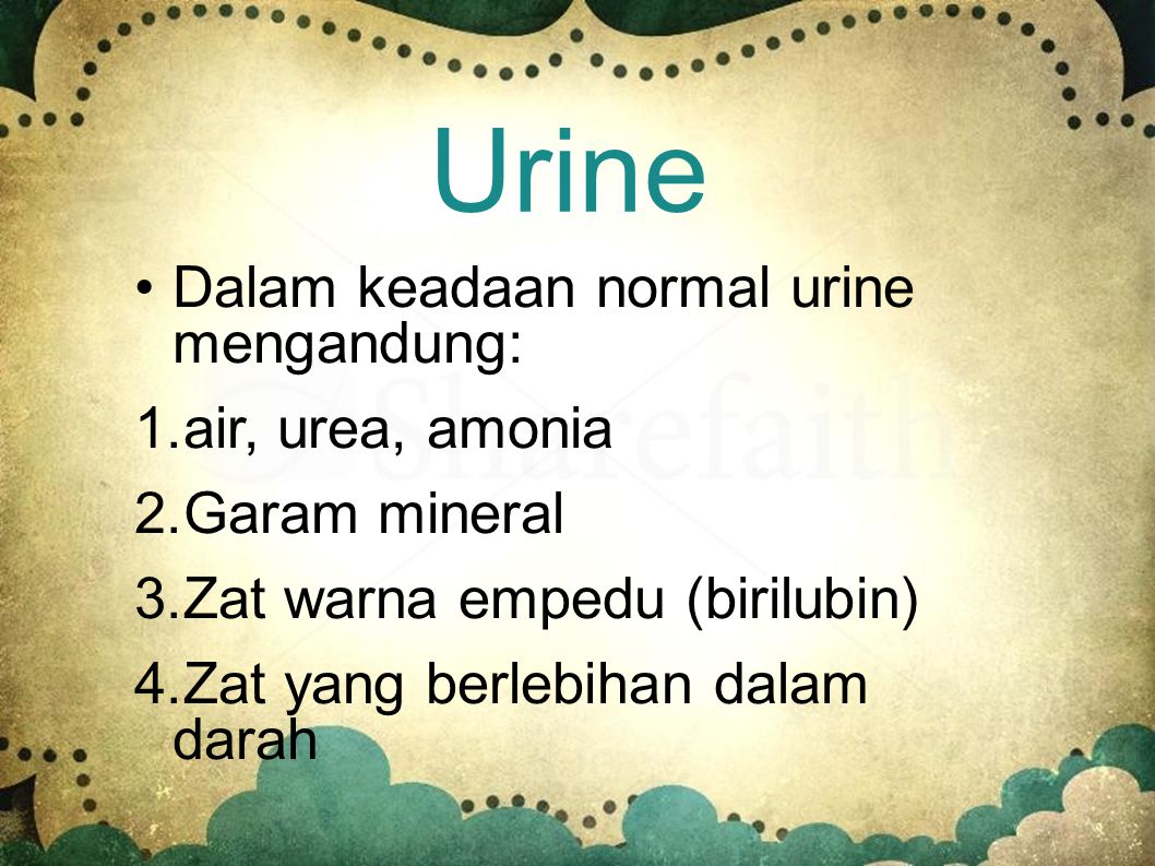 penambahan asam urat ion hidrogen amonia dan keratin ke urine sekunder terjadi pada