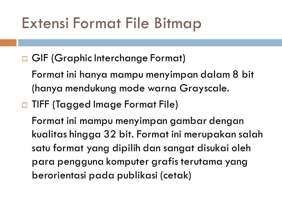 Extensi Format File Bitmap