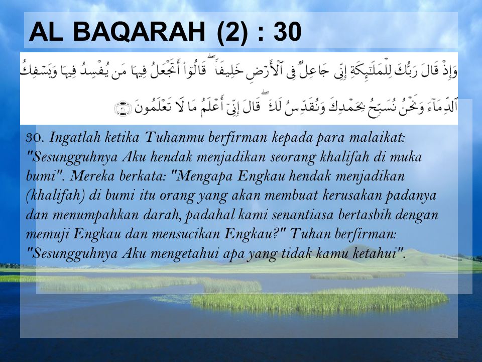 Al Baqarah (2) : 30