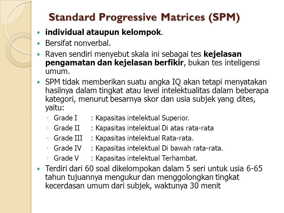Standard Progressive Matrices (SPM)