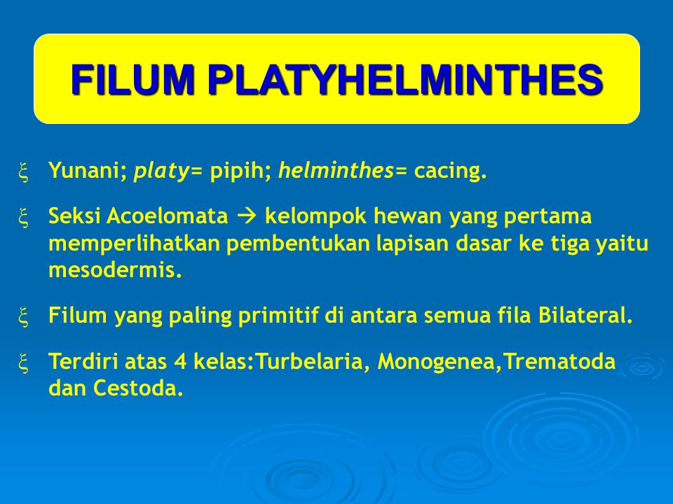 klassifikasi platyhelminthes ppt)