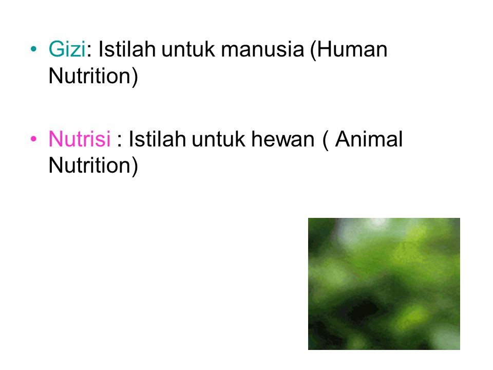 Gizi: Istilah untuk manusia (Human Nutrition)