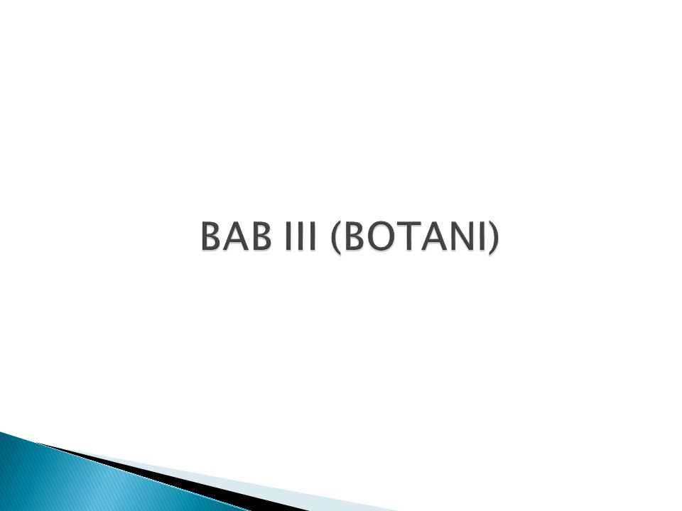 BAB III (BOTANI)