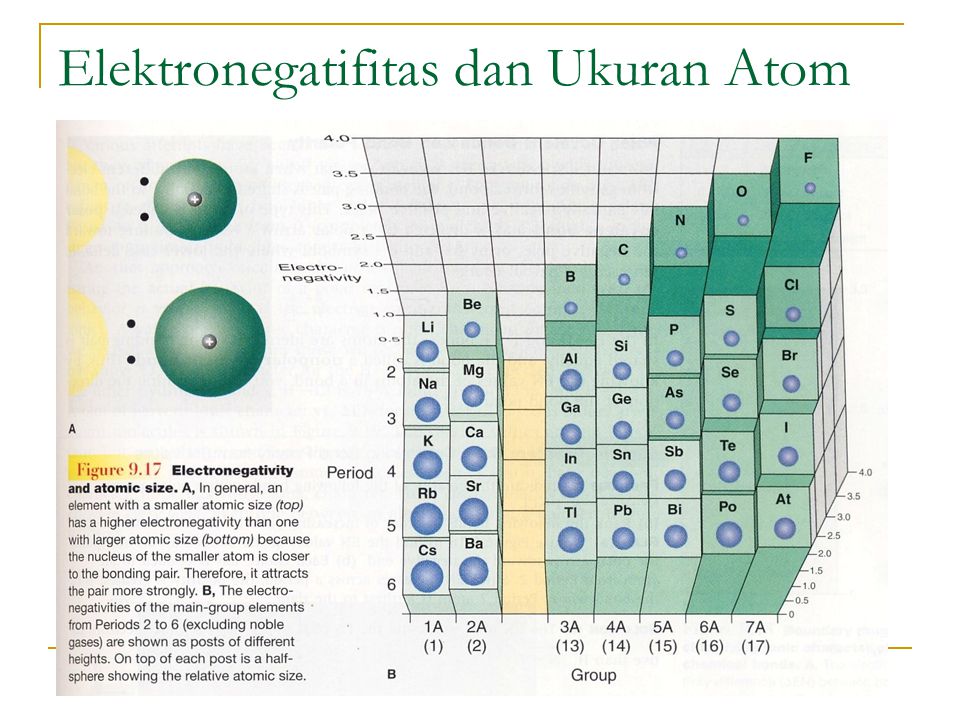 Elektronegatifitas dan Ukuran Atom