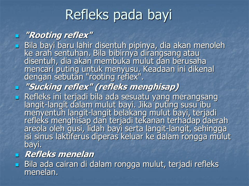 Refleks pada bayi Rooting reflex