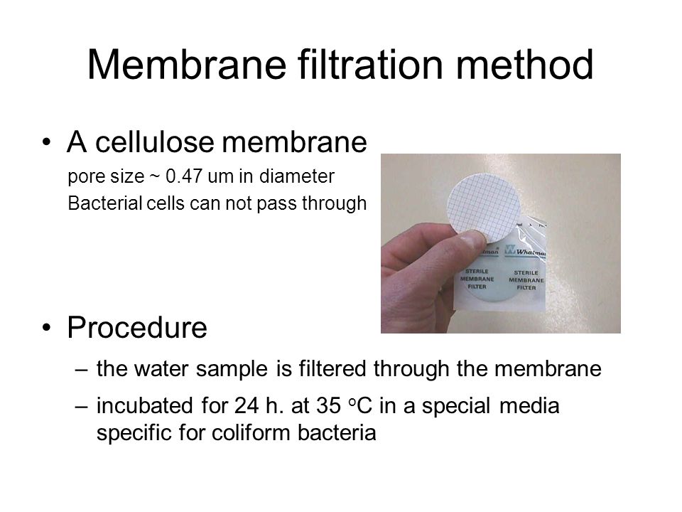 Filter method. Filtering method bacteria. Pour Plate method. Delademonii Filtered.