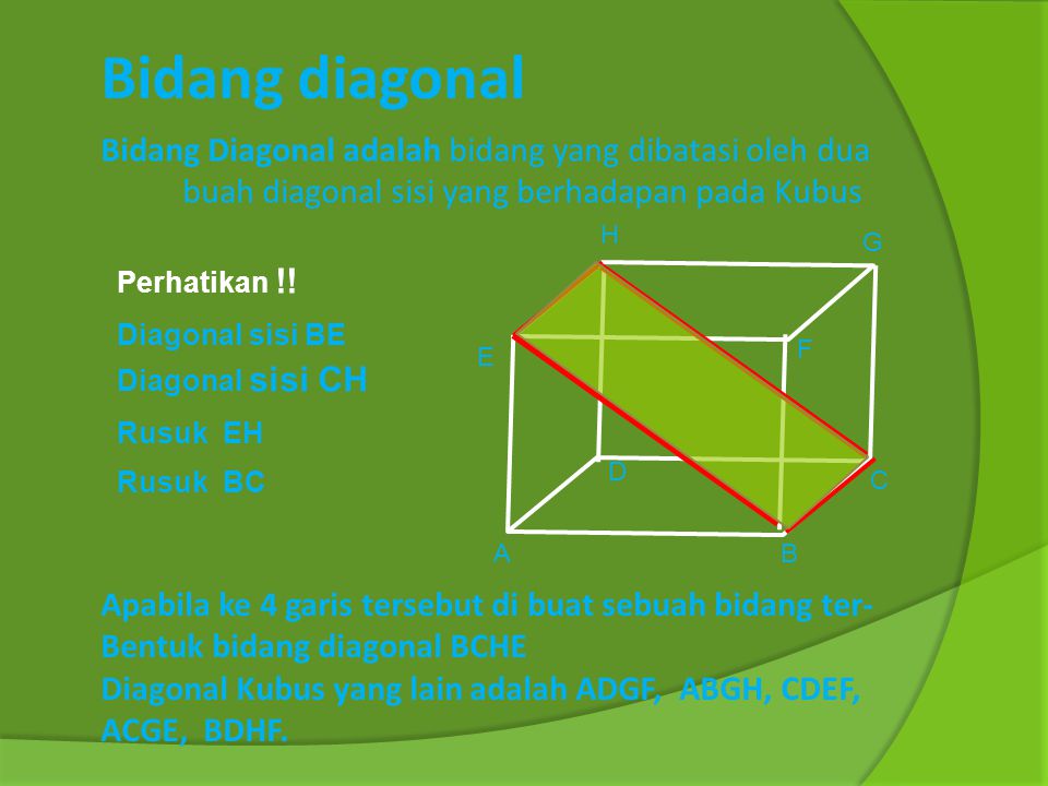 Bidang diagonal Bidang Diagonal adalah bidang yang dibatasi oleh dua buah diagonal sisi yang berhadapan pada Kubus.
