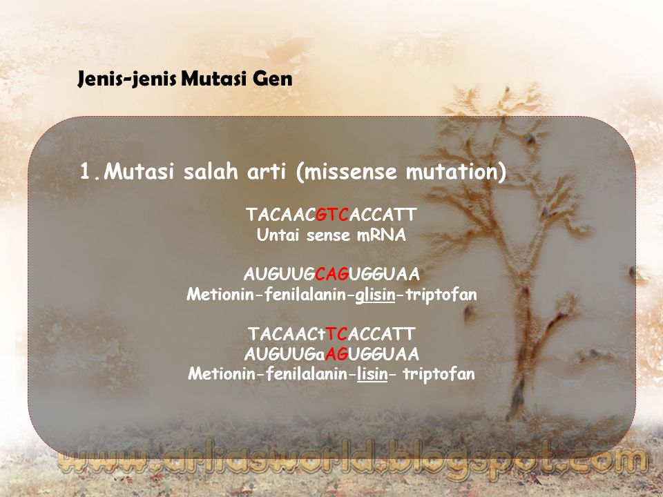 Jenis-jenis Mutasi Gen