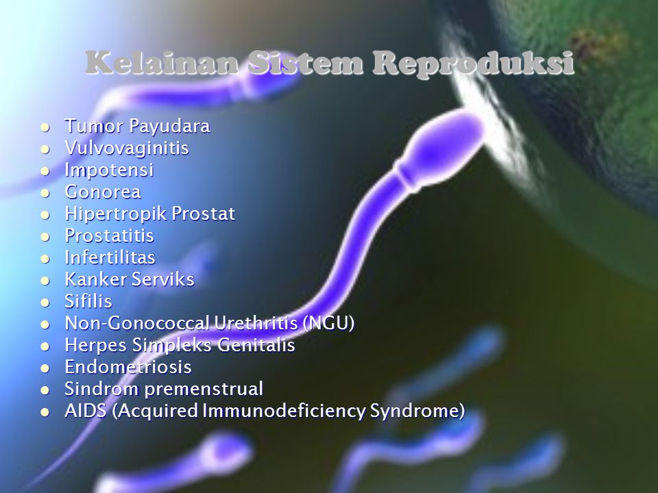 Kelainan Sistem Reproduksi