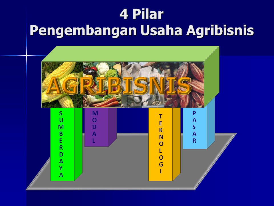 4 Pilar Pengembangan Usaha Agribisnis