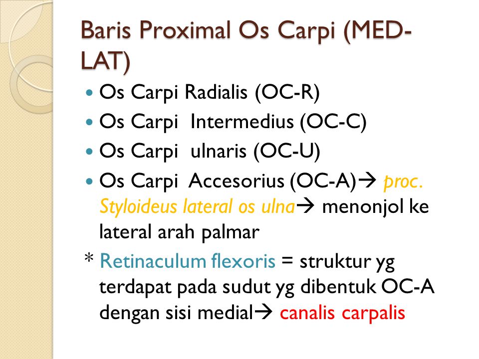 Baris Proximal Os Carpi (MED-LAT)