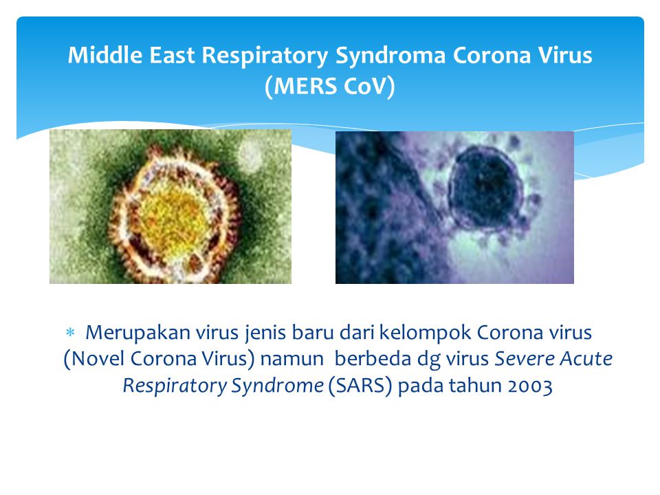 Middle East Respiratory Syndroma Corona Virus (MERS CoV)