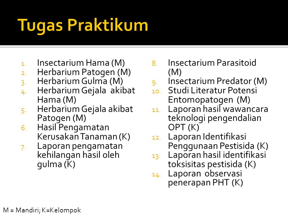 Tugas Praktikum Insectarium Hama (M) Herbarium Patogen (M)