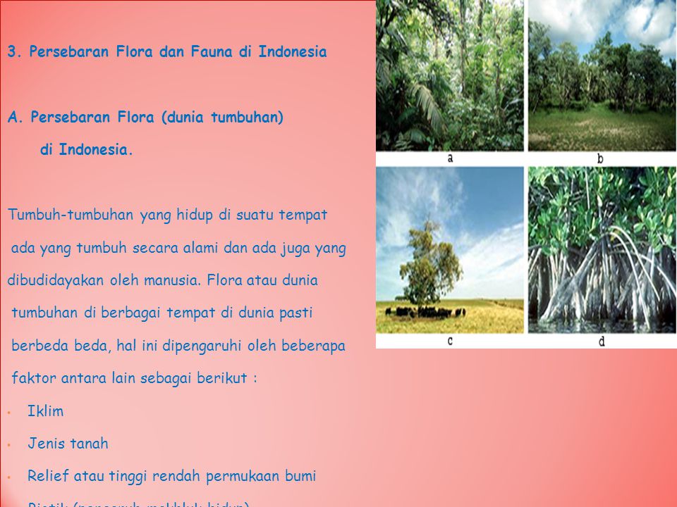 3. Persebaran Flora dan Fauna di Indonesia