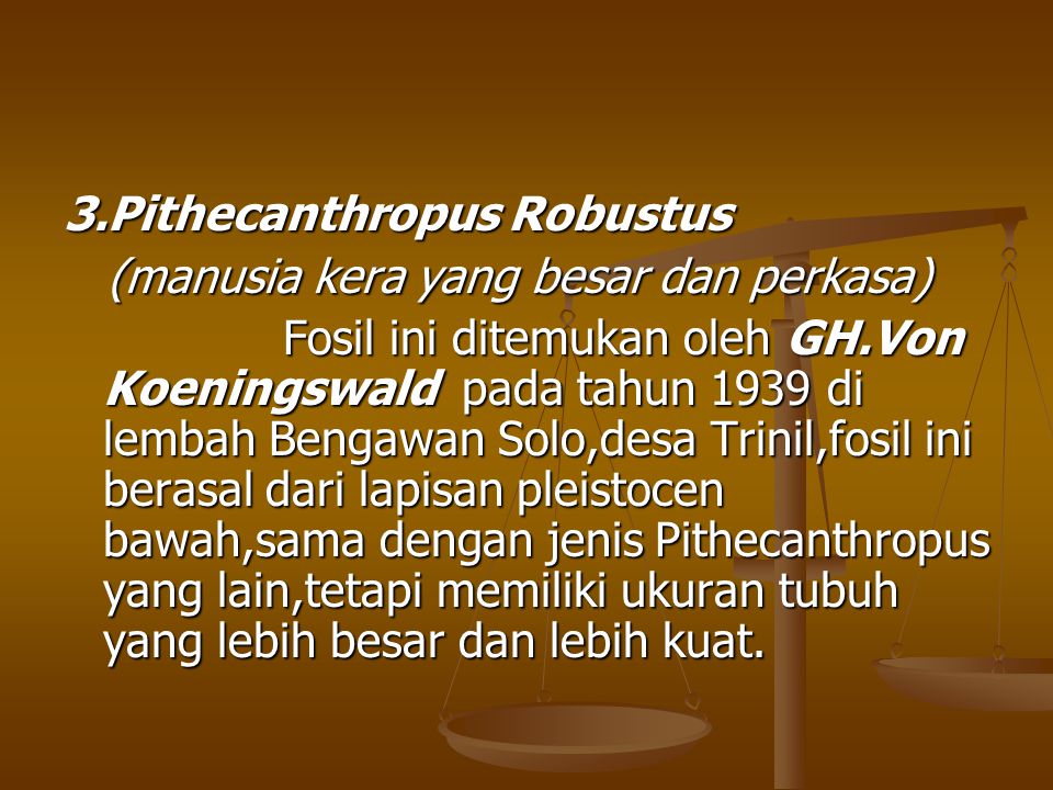 3.Pithecanthropus Robustus