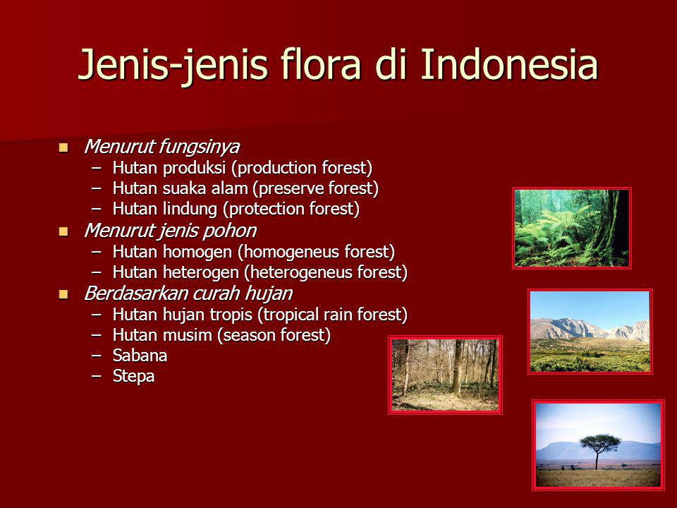 Jenis-jenis flora di Indonesia