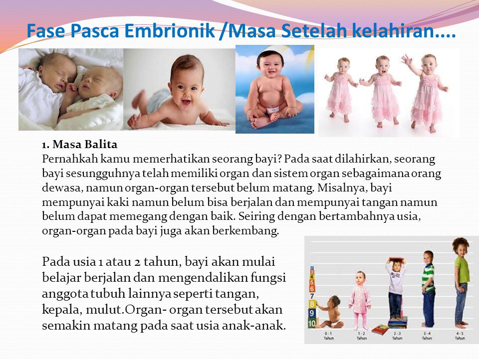 Fase Pasca Embrionik /Masa Setelah kelahiran....