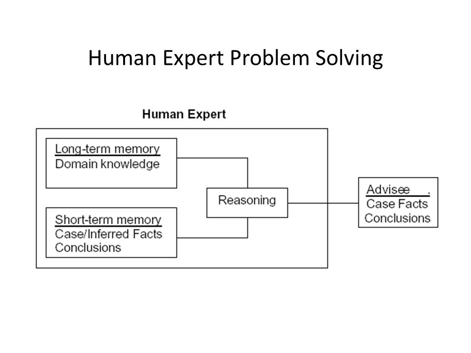 expert system human problem solving