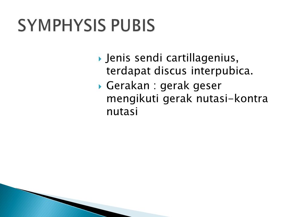 SYMPHYSIS PUBIS Jenis sendi cartillagenius, terdapat discus interpubica.