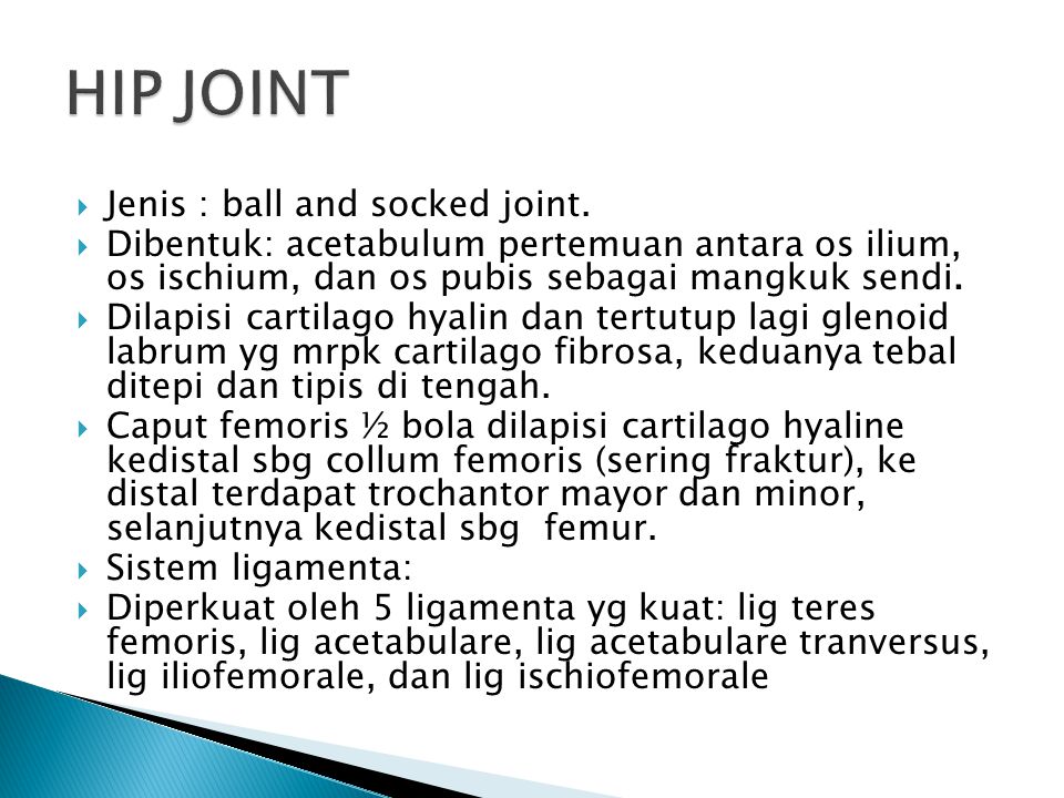 HIP JOINT Jenis : ball and socked joint.