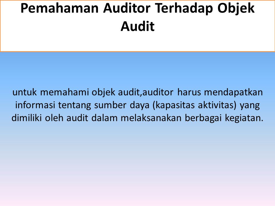 Pemahaman Auditor Terhadap Objek Audit