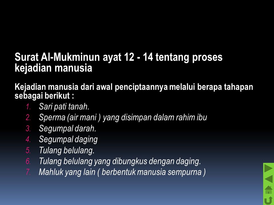 Surat Al-Mukminun ayat tentang proses kejadian manusia