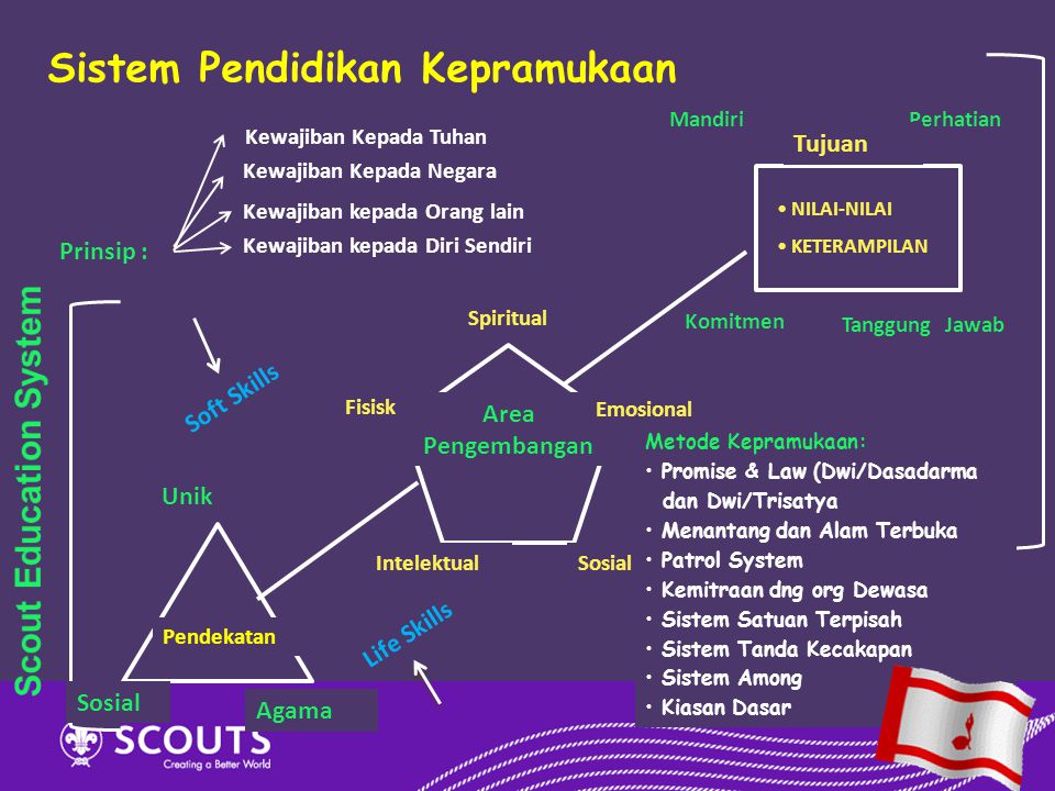 Scout Education System