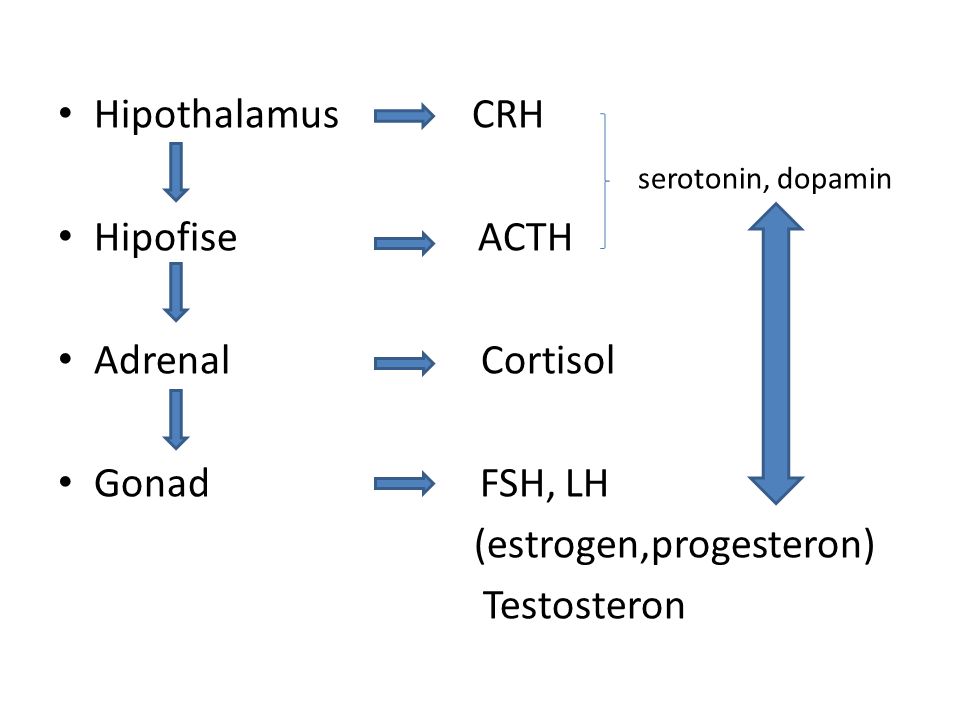 Hipothalamus CRH serotonin, dopamin. Hipofise ACTH. Adrenal Cortisol.