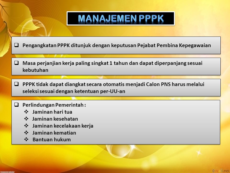 MANAJEMEN PPPK Pengangkatan PPPK ditunjuk dengan keputusan Pejabat Pembina Kepegawaian.