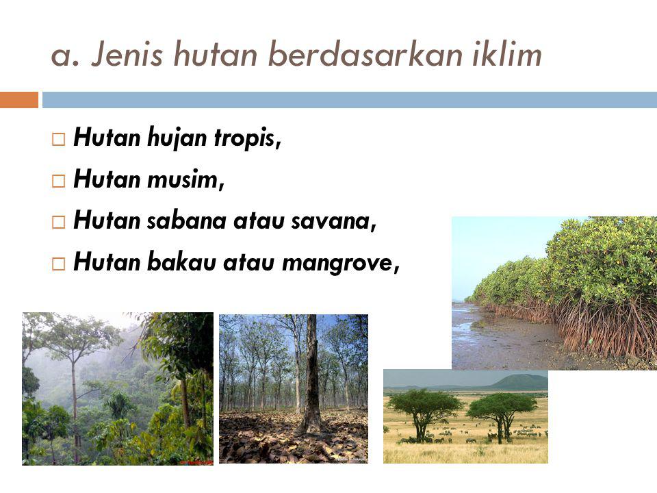 a. Jenis hutan berdasarkan iklim