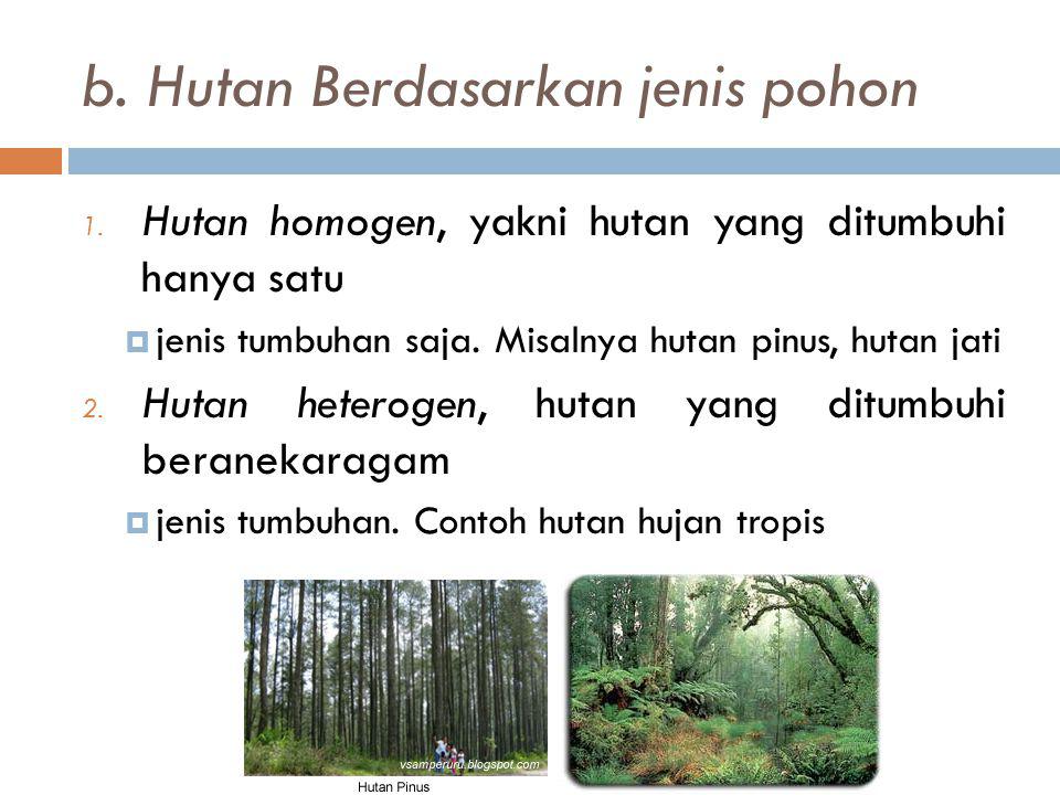 b. Hutan Berdasarkan jenis pohon