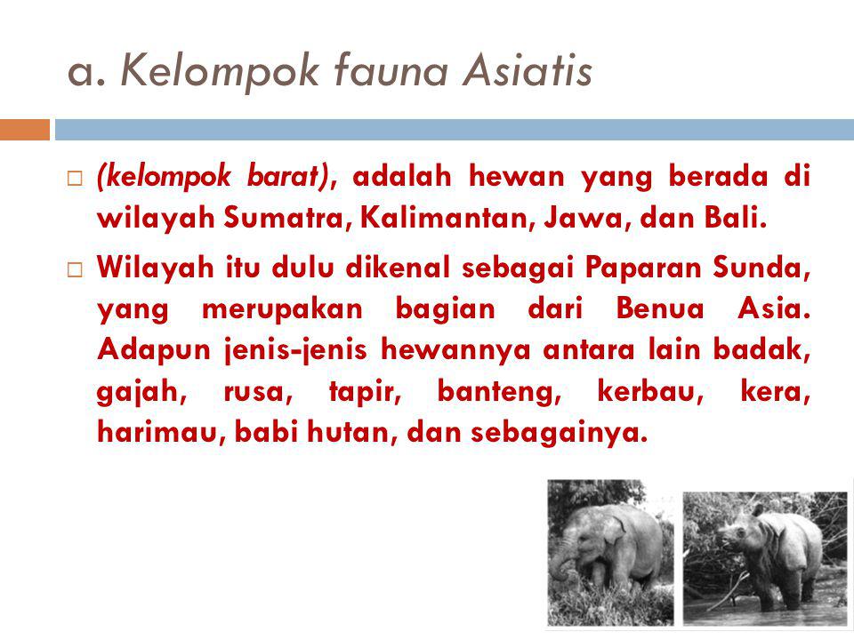 a. Kelompok fauna Asiatis