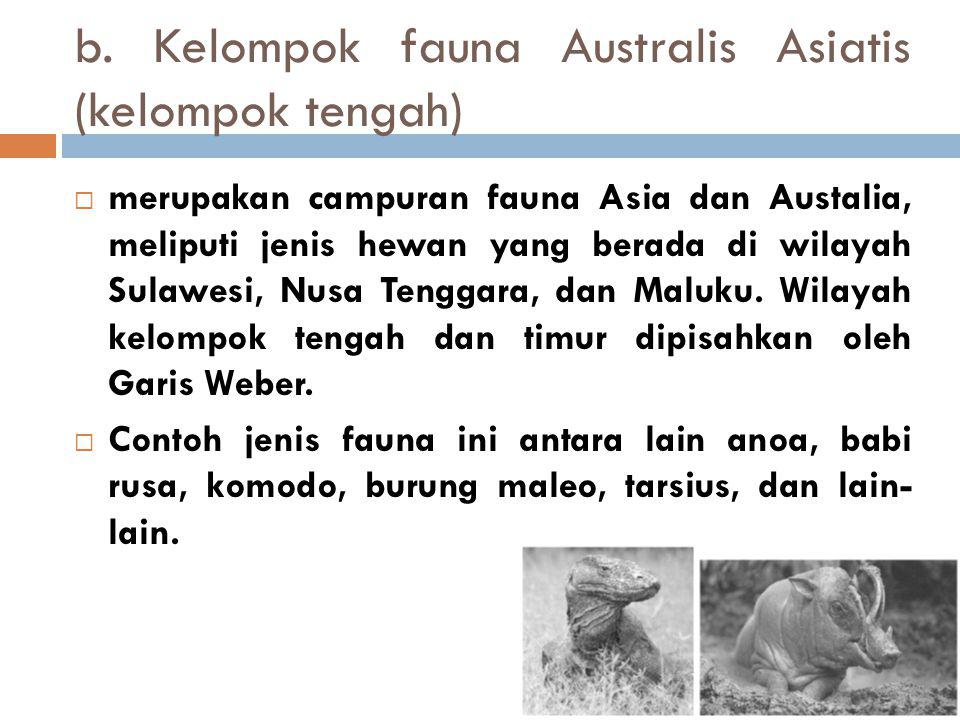b. Kelompok fauna Australis Asiatis (kelompok tengah)