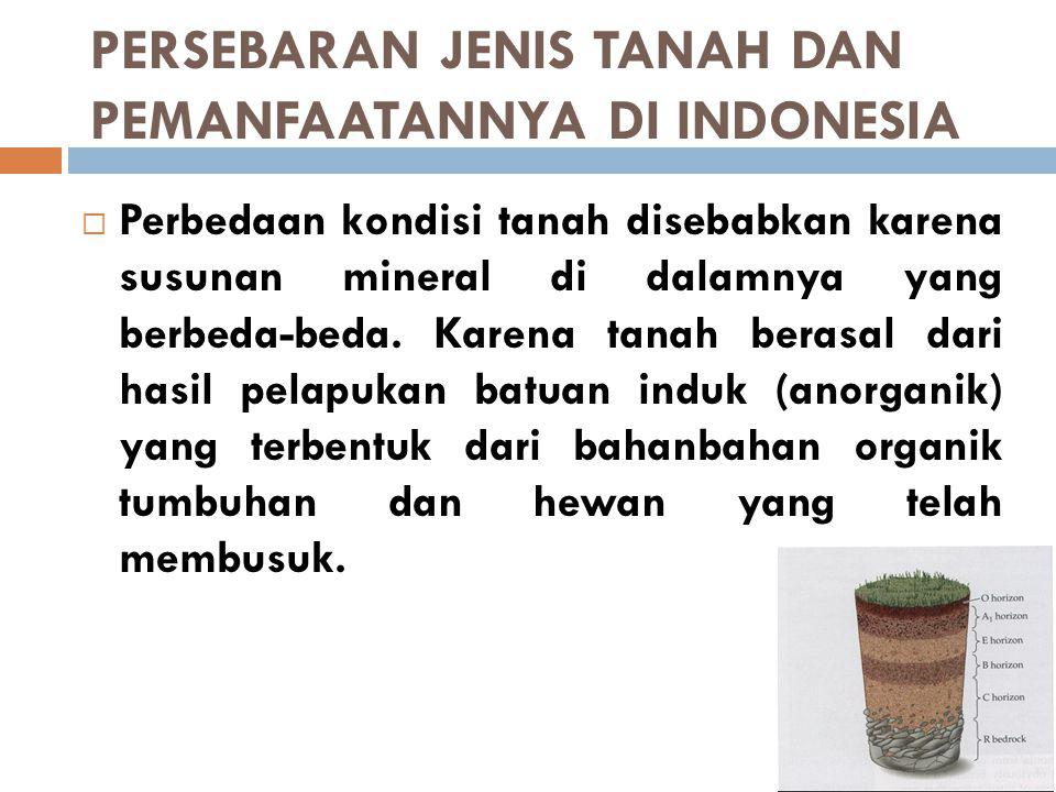PERSEBARAN JENIS TANAH DAN PEMANFAATANNYA DI INDONESIA