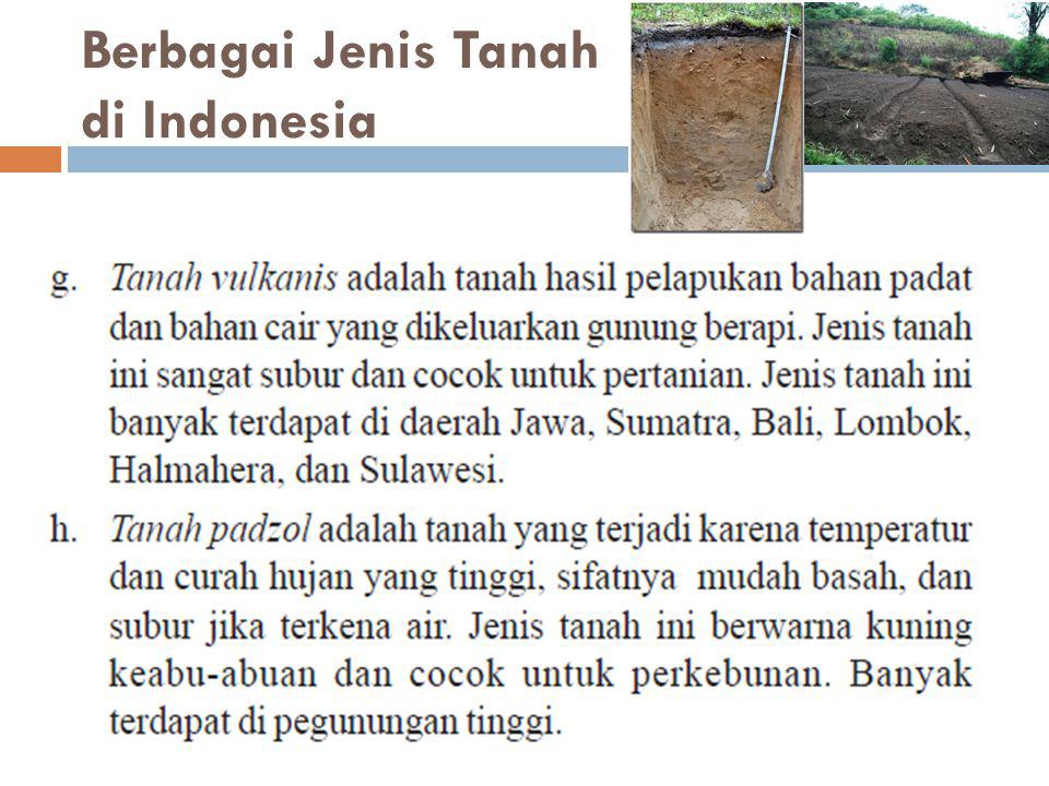 Berbagai Jenis Tanah di Indonesia