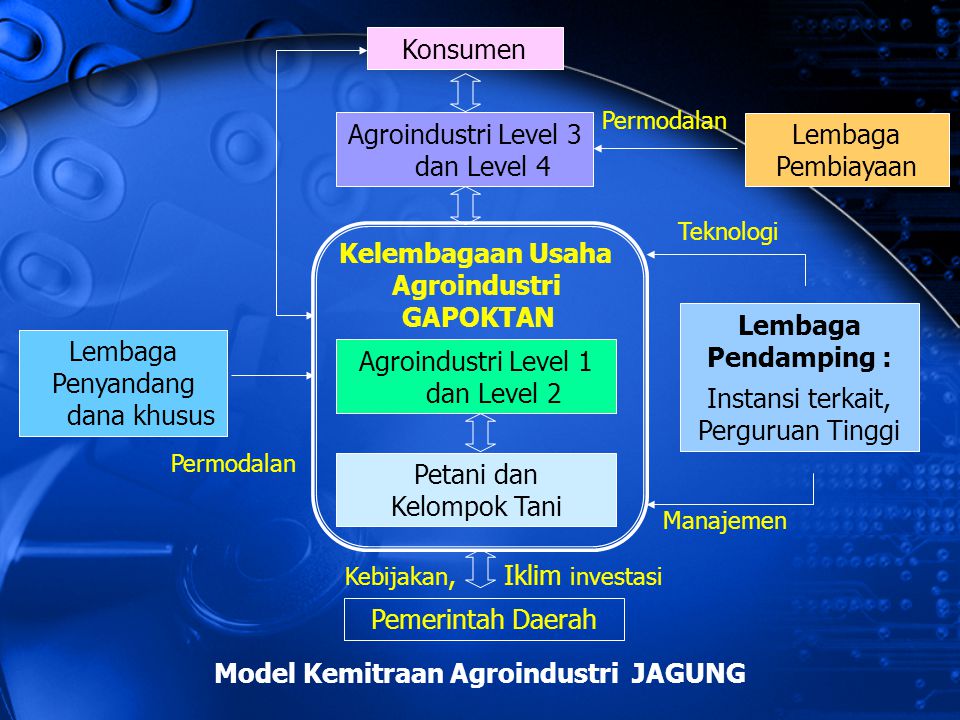 Model Kemitraan Agroindustri JAGUNG