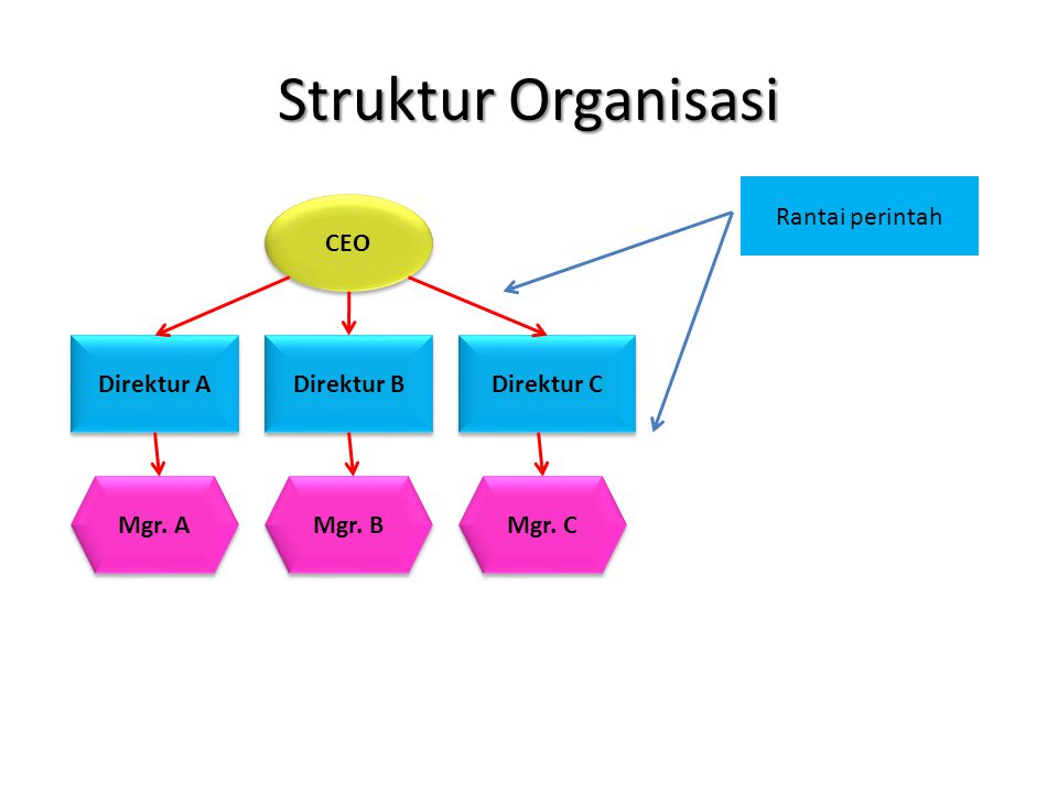 Struktur Organisasi Rantai perintah CEO Direktur A Direktur B