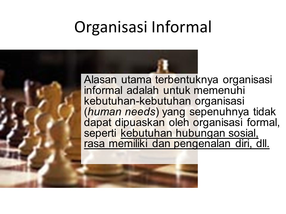 Organisasi Informal